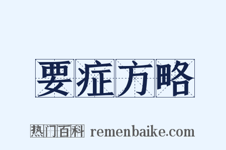 要症方略是什么意思的图片